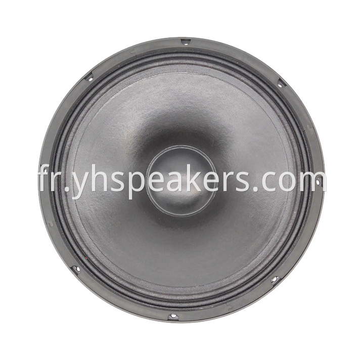 Pro Audio 15 Inch Neodymium Speaker